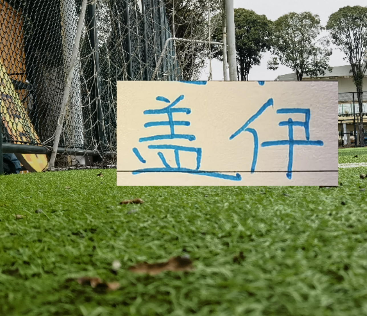 乐鱼体育app下载-申花1米95非洲前锋已回基地